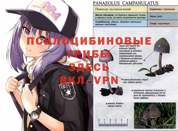 MDMA Михайлов