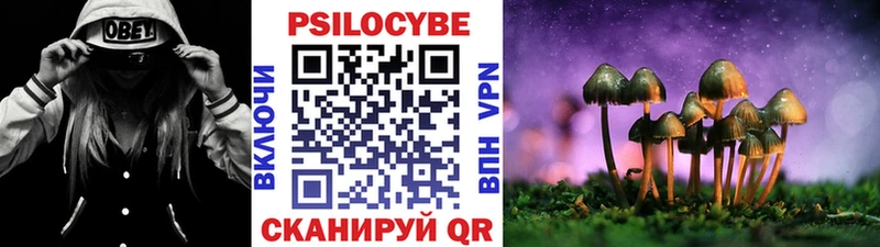 как найти наркотики  Суджа  Псилоцибиновые грибы ЛСД 